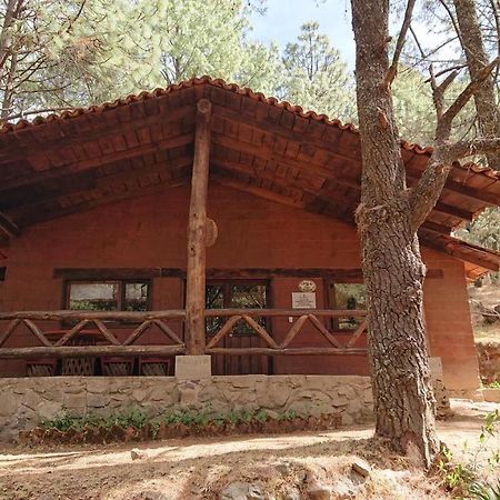 Cabanas Tapalpa Sierra Del Tecuan, Cabana Lince المظهر الخارجي الصورة