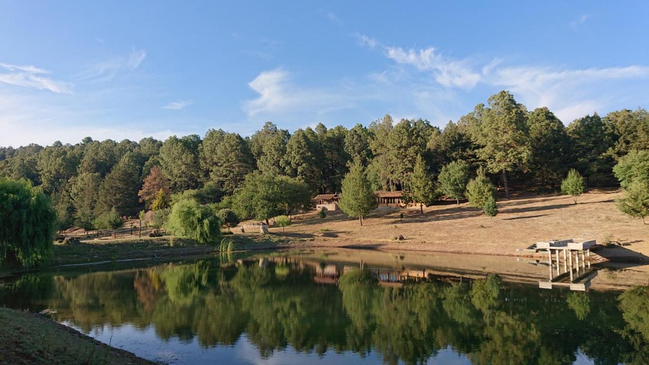 Cabanas Tapalpa Sierra Del Tecuan, Cabana Lince المظهر الخارجي الصورة