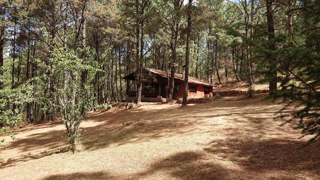 Cabanas Tapalpa Sierra Del Tecuan, Cabana Lince المظهر الخارجي الصورة