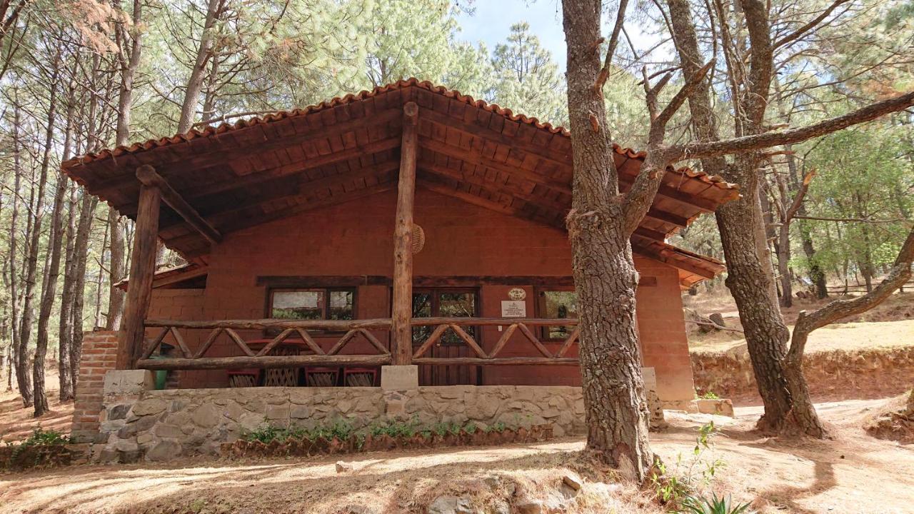 Cabanas Tapalpa Sierra Del Tecuan, Cabana Lince المظهر الخارجي الصورة